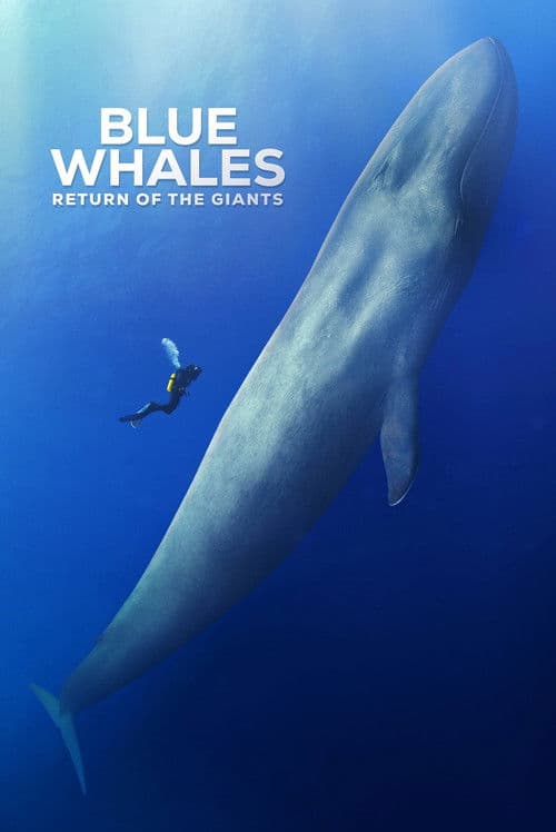 Blue Whales: Return of the Giants (3D)